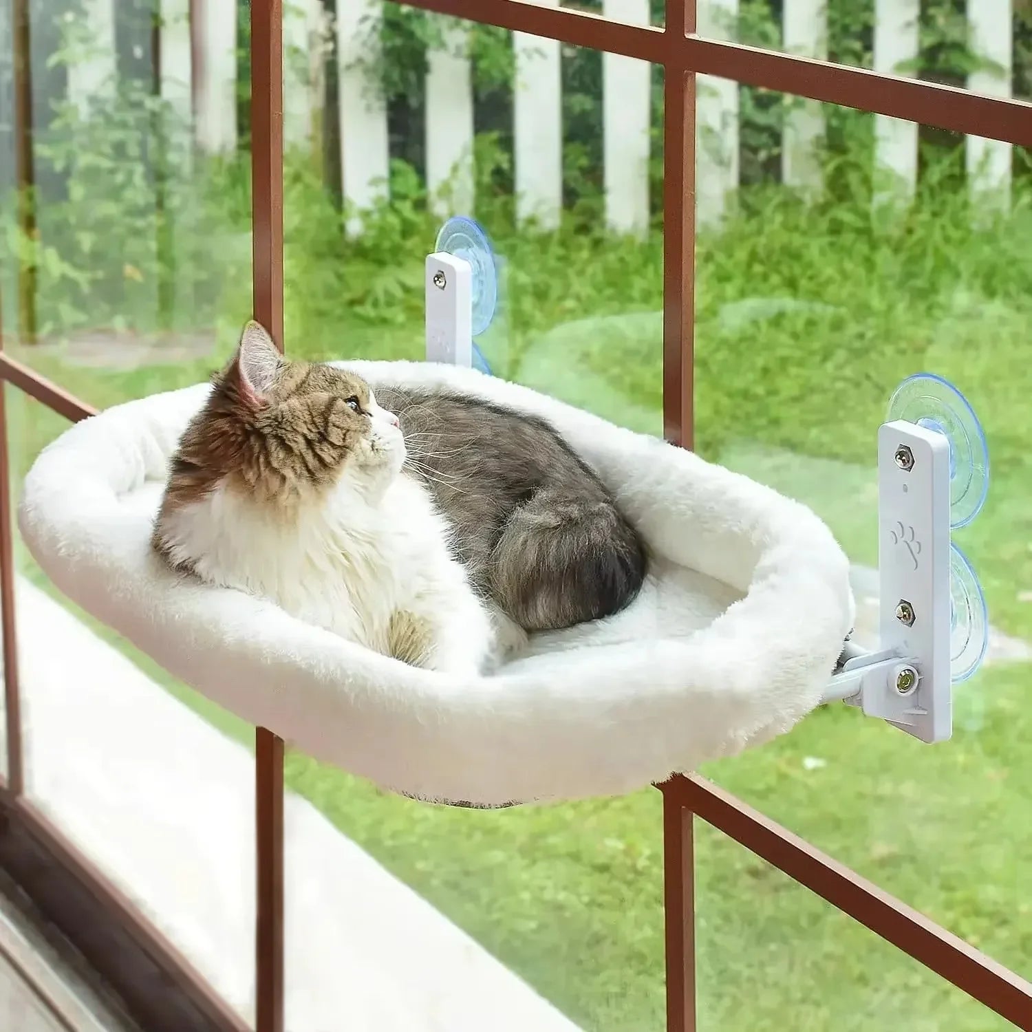 Cat Window Hammock with Suction Cups